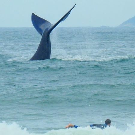 Tranquilidade Na Praia Da Gamboa Garopaba Luaran gambar