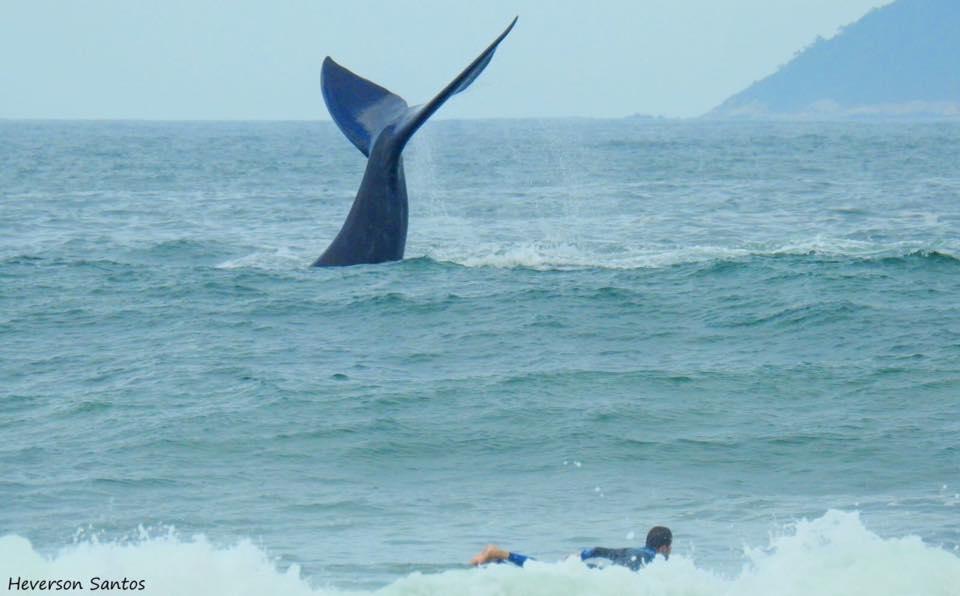 Tranquilidade Na Praia Da Gamboa Garopaba Luaran gambar